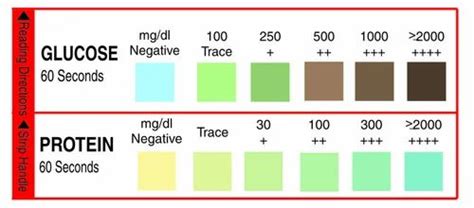 Urinalysis Reagent Strip 2 Parameters Urs 2p Glucose And Protein Test