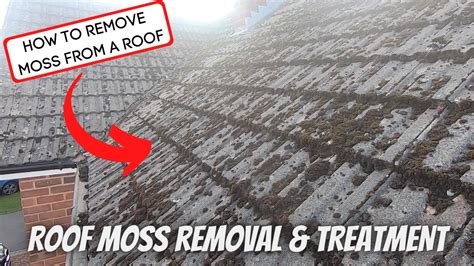 House Roof Cleaning Moss Removal Moss Killer Youtube