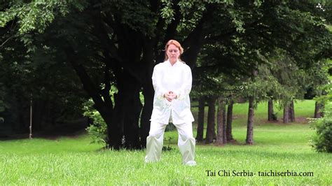 Shibashi Tai Chi Qigong Part Of Second Level Of Qigong Exercises Youtube