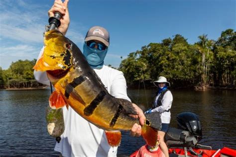 Pesca Esportiva Melhores Destinos No Brasil De Junho De