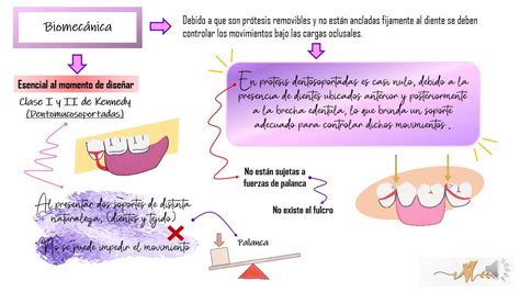 Principios Fundamentales En La Protesis Parcial Removible Hot Sex Picture