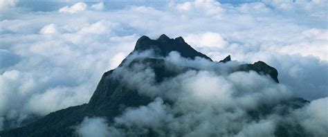 Pico Da Neblina National Park Expats Travel Together