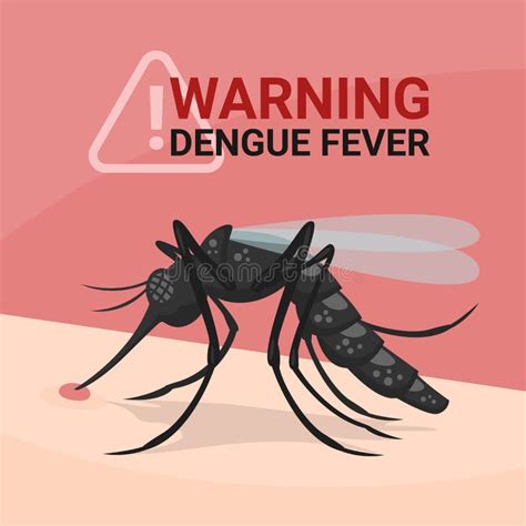 Infographics De La Fiebre De Dengue Ilustraci N Del Vector