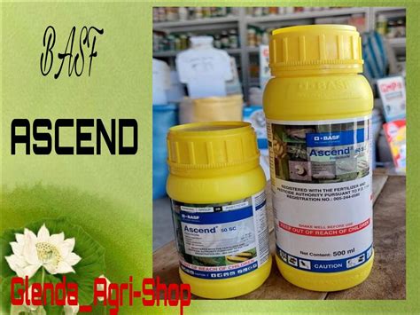 Ascend Insecticide Fipronil 50 SC 500 Ml Lazada PH