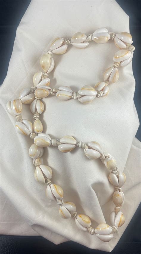 Vintage Cowrie Shell Gem