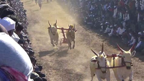 श्री काळभैरवनाथ मित्र मंडळ करंजविहीरे पिंट्या ग्रुप Youtube