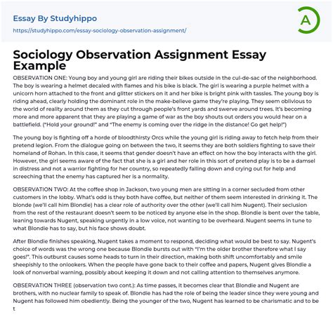 Sociology Observation Assignment Essay Example StudyHippo