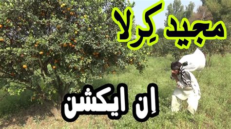 New Punjabi Funny Clips 2018 Majeed Kirla Malta Da Qisa New