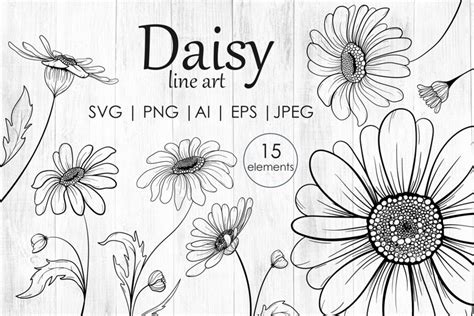 Daisy And Leaves Svg Png Hand Drawn Doodle Flowers