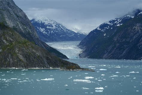 Fjords are good at fighting global warming, study finds