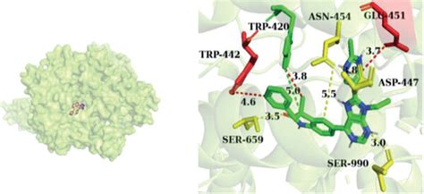 The 3d View Of The Molecular Docking Pattern Of Each Protein With Its