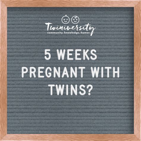 5 Weeks Pregnant With Twins Twiniversity