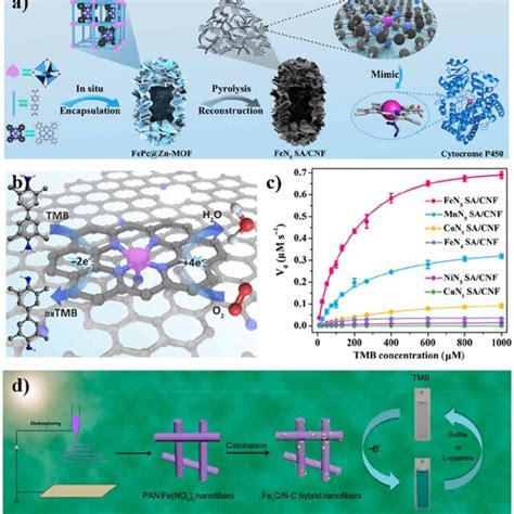 Schematic Illustration Of A The Synthetic Process For Fe N Sa Cnf To