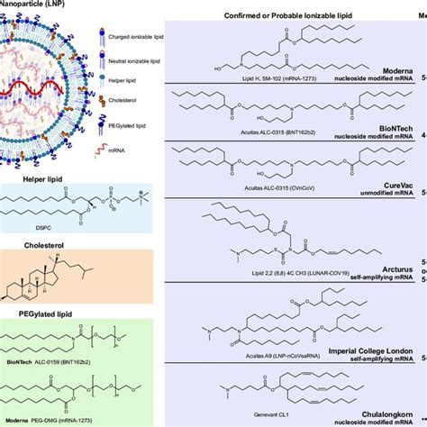 Structure Of Lipid Nanoparticles Lnps And Lipid Components Employed