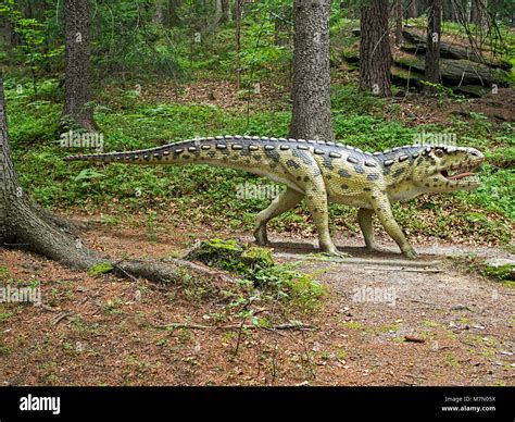 Sauropoda hi-res stock photography and images - Alamy