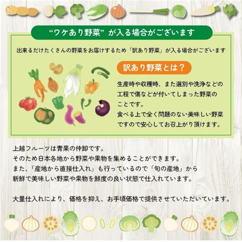 ｜送料無料｜13品以上 おまけ付き 野菜詰め合わせ ｜ 野菜セット 詰め合わせ 新潟 旬 野菜 フルーツ Set 13vege上越フルーツ