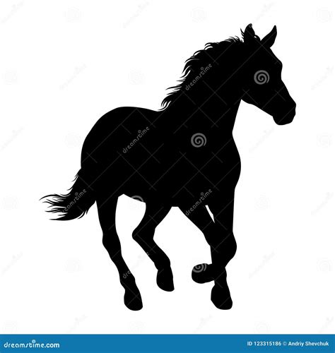 Paard Vectorillustratie Paard Racing Geïsoleerd Silhouet Vector