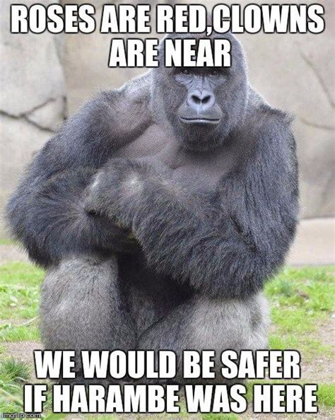 Roses Are Red Clowns Are Near We Would Be Safer Harambe Memes Harambe