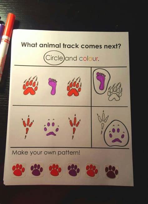 Animal Tracks Lesson Plan