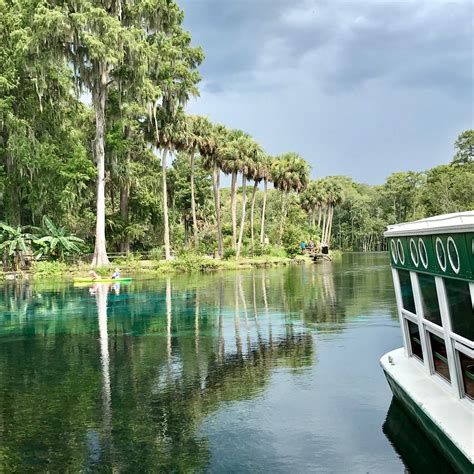 Unbelievable! Skip The Games Ocala Just Blew Our Minds Image 15