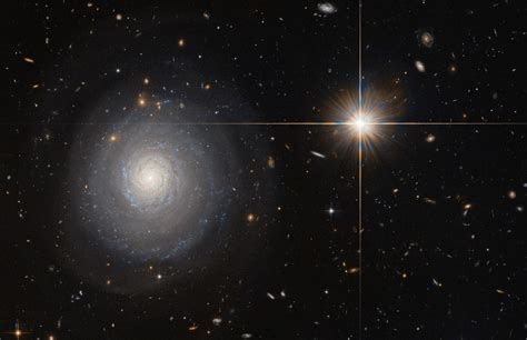 Hubble Spots A Secluded Starburst Galaxy Window On The Sky