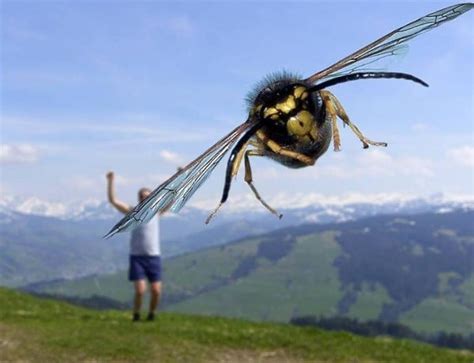 Divertidas Fotograf As Tomadas En El Momento Exacto