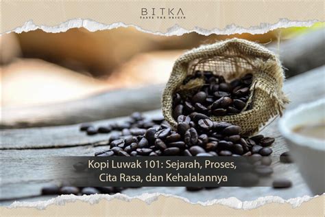 kopi luwak discovered  ruth haley blog