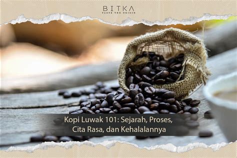 Kopi Luwak Sejarah Proses Cita Rasa Dan Kehalalannya Bitka