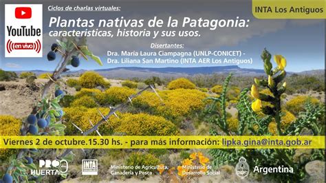 Plantas Nativas De La Patagonia Características Historia Y Sus Usos