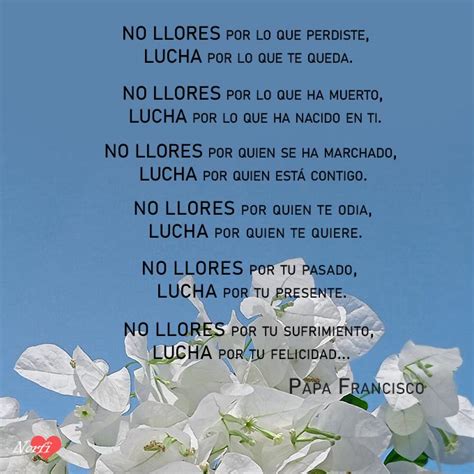 Frasesdeamor On Twitter No Llores Por Lo Que Perdiste Lucha Por Lo