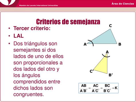 PPT Semejanza de triángulos PowerPoint Presentation free download