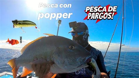 Pesca De Pargo Con Popper Un Pargo Grandote Youtube