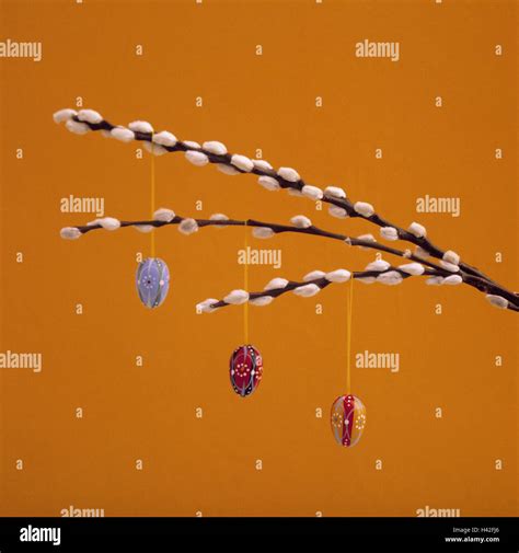 Easter Twigs Pussy Willows Easter Eggs Brightly Easter Bunch Easter Feast Easter Time