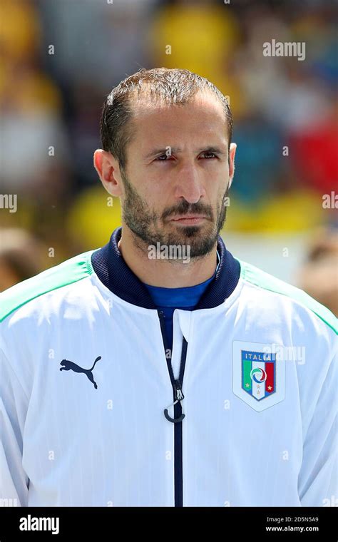 Giorgio Chiellini Italy Stock Photo Alamy