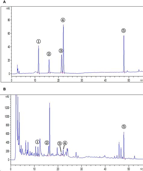 Hplc Results Of Standard References And Mgnc A Hplc Result Of Five