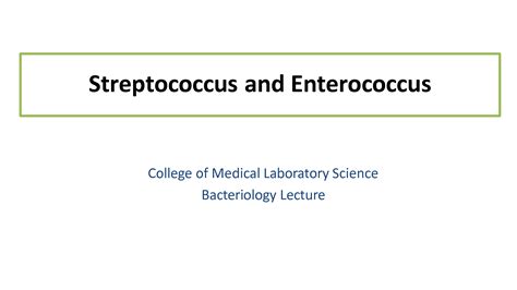 Solution Streptococcus And Enterococcus Studypool