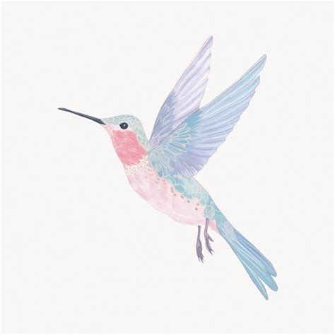 Un Colibri Volando Ilustrado Y Colorido Vector Premium Generado Con IA