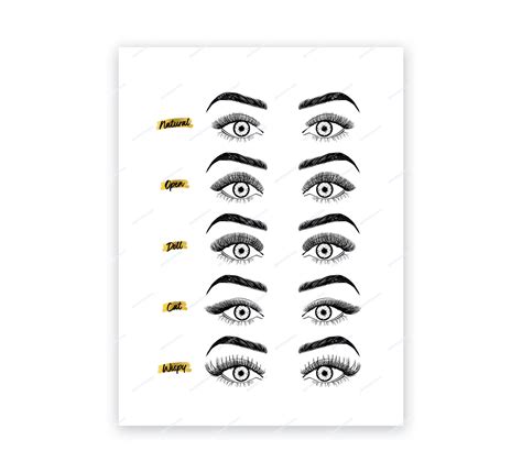 Full Eye Lash Style Chart Eyelash Extension Styles Digital Etsy