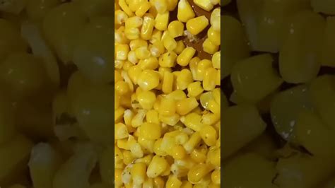 Corn 🌽 🌽 Shortvideo Asmr Satisfying Youtube