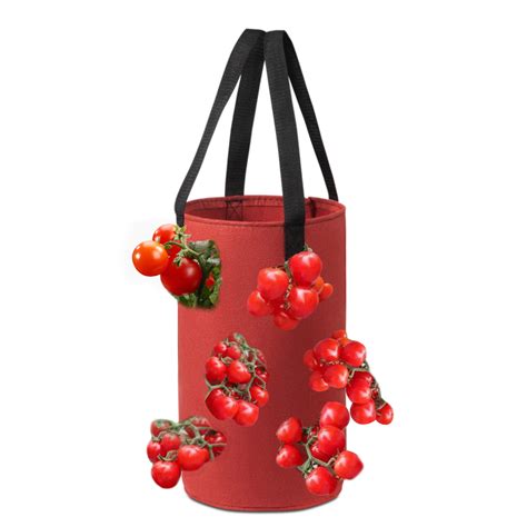 Jardini Re Sac De Plantation De Tomates L Envers Pot De Culture De