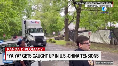 Panda caught up in U.S.-China tensions | CNN