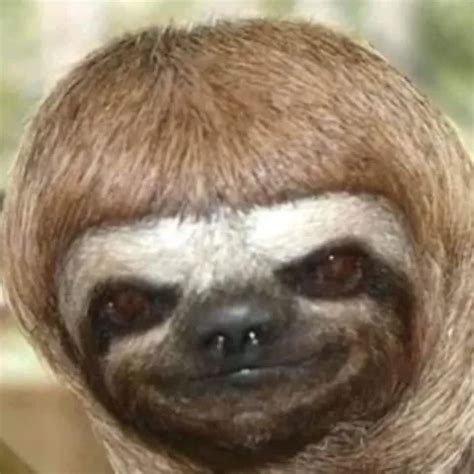 How To Extend Mens Orgasam X Dobble Extasy At Home Gay Amateur Amateur Porn XHamster