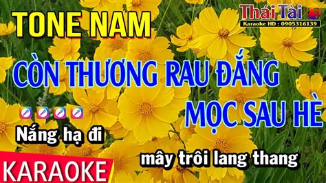 Karaoke Còn Thương Rau Đắng Mọc Sau Hè Tone Nam Thái Tài YouTube