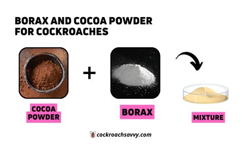 Borax For Roaches How Does It Eliminate These Pesky Insects