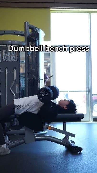 Barbell Bench Press Vs Dumbbell Bench Press Youtube