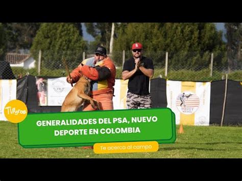 Generalidades Del PSA Nuevo Deporte En Colombia TvAgro Por Juan