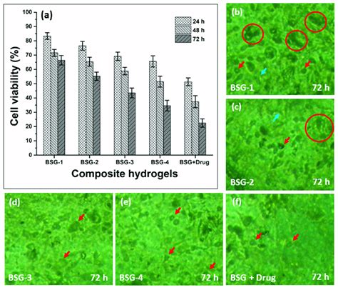 The Anticancer Activities Of Composite Hydrogels Against U87 Cell Line