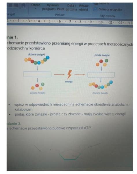 Na schemacie przedstawiono przemianę energii w procesach metabolicznych