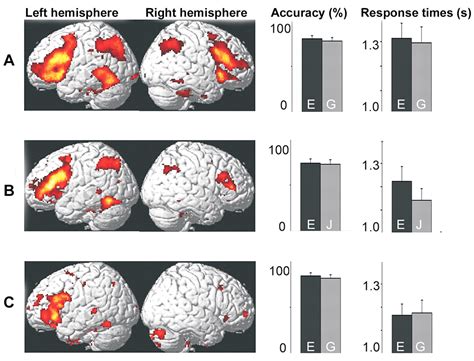 Language Control In The Bilingual Brain Science