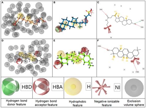 Representation Of The Pharmacophore Model BAMS22 Aligned To TLC In 3D